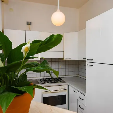 Apartamento Dialma's *