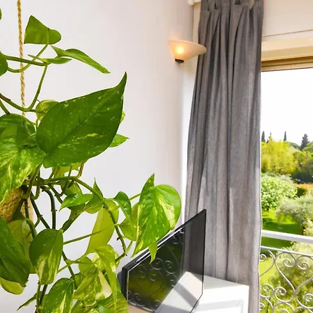 Dialma's Apartamento