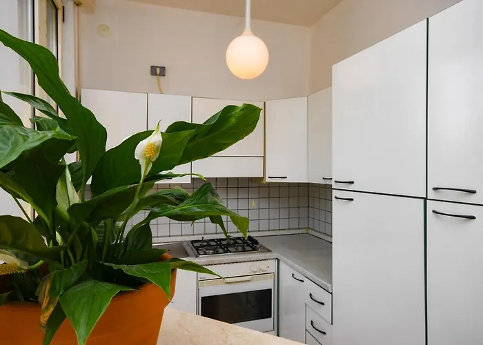 Apartment Dialma's *